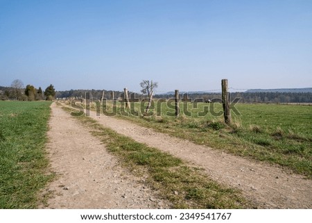 Country road with a fence, grass, tress and a blue sky