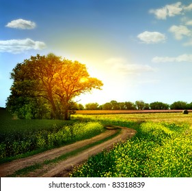 Country Road And Fields On The Background Of The Blue