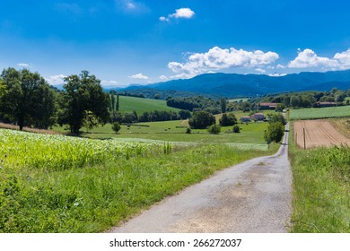 Country Road In Figarol In The South Of France