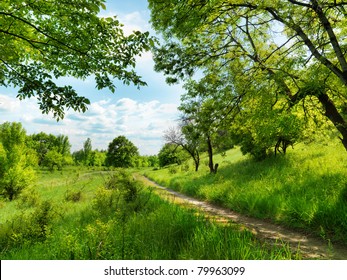 Country road in forest and sky
