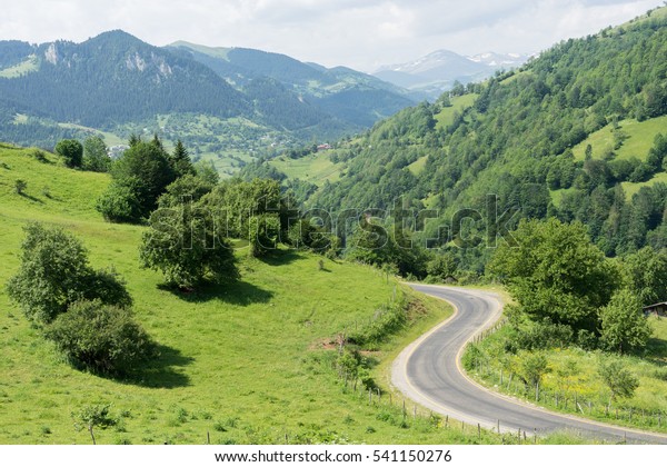 Country road at\
the Giresun Highland\'s -\
Turkey