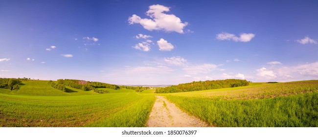 Country Road In Grain Field,  A Kansas  USA