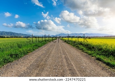 Country road and green farmland natural scenery in Xinjiang, China.