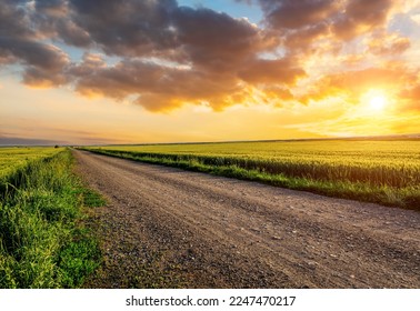 Country road and green wheat fields natural scenery at sunrise - Shutterstock ID 2247470217