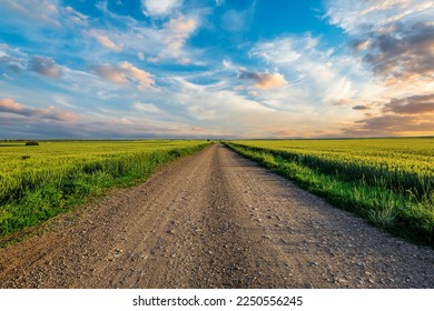 Country road and green wheat fields natural scenery at sunrise