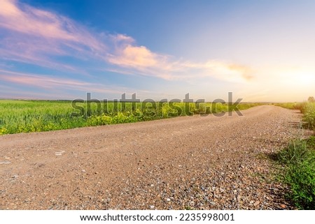 Country road and green wheat fields natural scenery at sunset