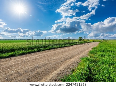 Country road and green wheat fields natural scenery on a sunny day