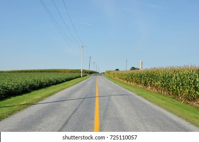 Country Road In Lancaster County, PA Lined By Fields Of Corn