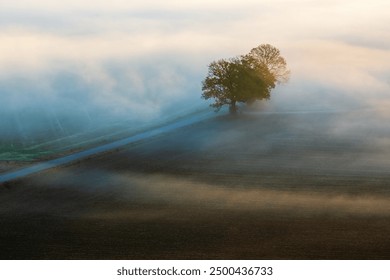 Country road in morning mist at dawn - Powered by Shutterstock