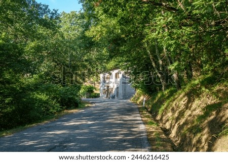Image, Stock Photo Country road near Capolona, Tuscany