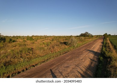 Country Road Near Soybean Field, Panoramic View. 