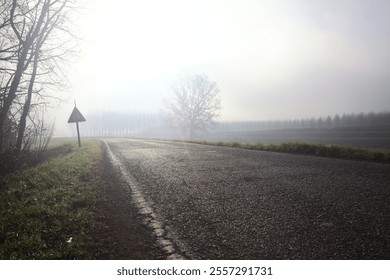 Country road on an embankment bordered by bare trees with a tree in the background counterlit by the sun on a misty day - Powered by Shutterstock