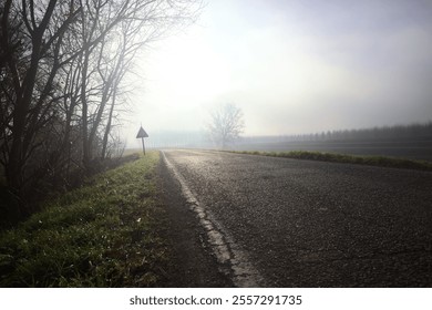 Country road on an embankment bordered by bare trees with a tree in the background counterlit by the sun on a misty day - Powered by Shutterstock