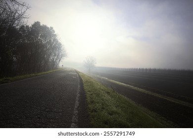 Country road on an embankment bordered by bare trees with a tree in the background counterlit by the sun on a misty day - Powered by Shutterstock