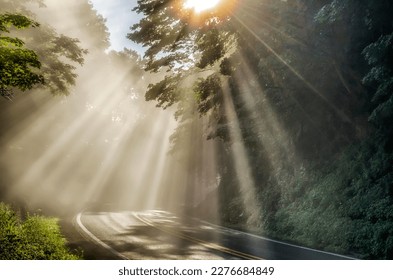 Country road on a summer morning as the fog begins to rise and the sunlight breaks through on McGuire Mountain in Webster County, West Virginia, USA  - Powered by Shutterstock