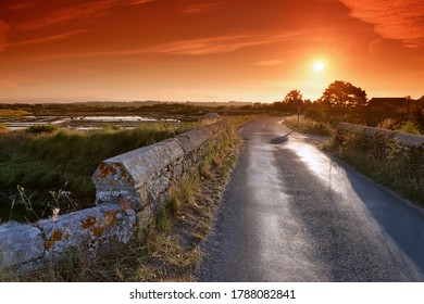 Country Road In Pen-Bron Salt Marshes In Loire Atlantique 