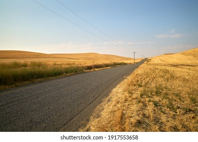   Country Road Rolling Hills. A tranquil country road in eastern Washington State.

                             