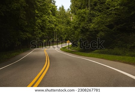 Country road in rural North America. Road with markings in the middle of the forest. Concept for success in the future goal and passing time. Copyspace for text, nobody