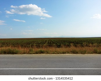 Country Road Side View. Large Field And Sky. Good For A Car Collage Or Ad Designed In Photoshop.