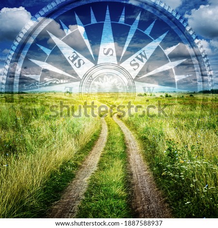 Similar – Image, Stock Photo summer sunny yellow Field