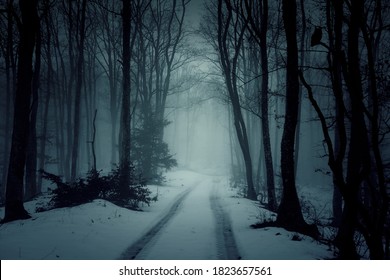 Country road in snowy forest in the mountains at night