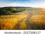 A country road stretches into the distance through green and blooming meadows. Natural photo wallpaper. Awesome natural scenery of summertime. Discovery the beauty of earth.