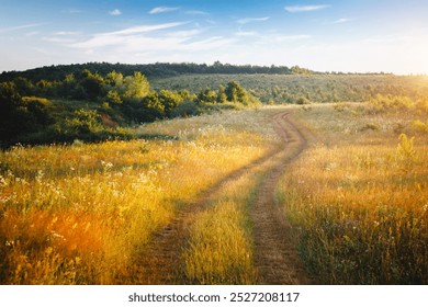 A country road stretches into the distance through green and blooming meadows. Natural photo wallpaper. Awesome natural scenery of summertime. Discovery the beauty of earth.