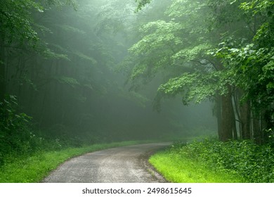 Country road in a summer mist, Webster County, West Virginia, USA  - Powered by Shutterstock