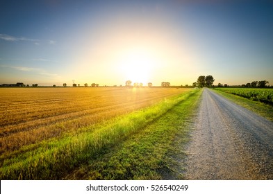 A country road at sunset in the wheat fields