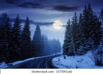 country road through forest at night. misty winter weather in full moon light. snow on the roadside. cloudy sky - Powered by Shutterstock