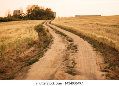 Country road through grass fields