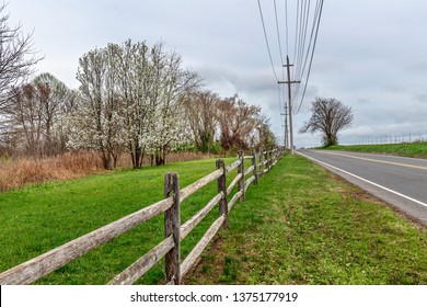 A Country Road Through Monmouth Battlefield State Park In Freehold NJ.