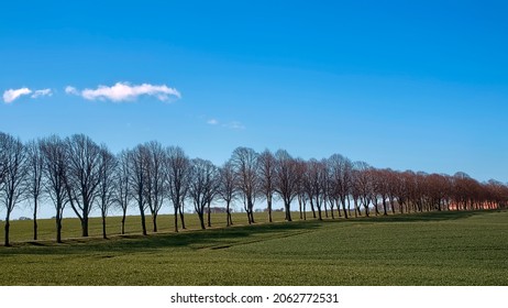 671 Farm both side Images, Stock Photos & Vectors | Shutterstock