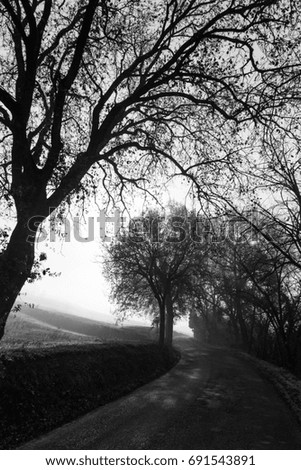 Similar – behind tree gate right