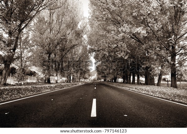 country road vintage sepia\
image