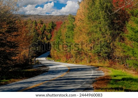 A country road winding through an autumn colored forest  near Peacham, VT