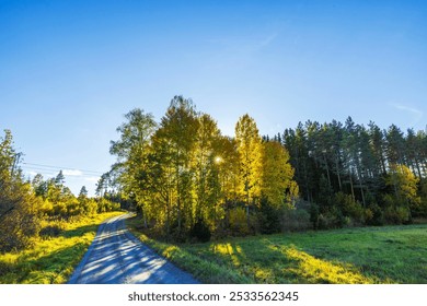 Country road winding through green field and forest with sun shining through autumn trees under clear sky. Sweden. - Powered by Shutterstock