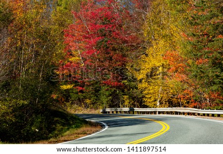 A country road winds through a forest of autumn colors near Stowe, VT