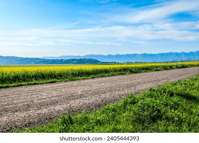 Country road and yellow rape flower fields with green mountain nature landscape under blue sky - Powered by Shutterstock