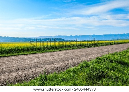 Country road and yellow rape flower fields with green mountain nature landscape under blue sky