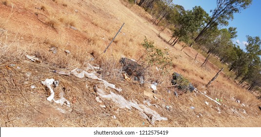 Country Roadside Litter