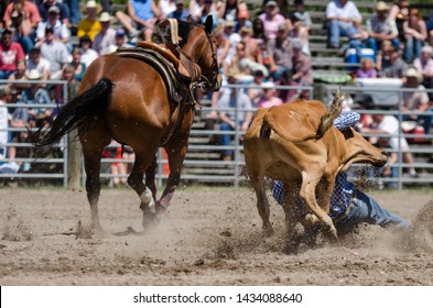 Country Rodeo Steer Wrestling Cowboy