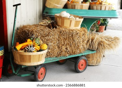 Country rural market display. Fall. Autumn. Rustic. Traditional. Wagon. Hay. Wooden bushel basket. Mini gourds. Squash. Decorative. Wheat. Pumpkins. Indian corn. Thanksgiving. Halloween. Farm. Local. - Powered by Shutterstock