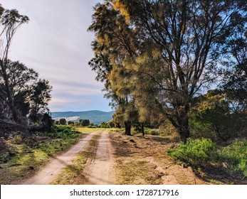 Country Track, Flinders Island, Tasmania