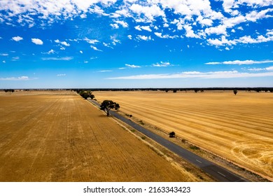 Country Victoria Road Into The Horizon