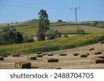 Country view lanscape from Havza, Samsun, Turkey