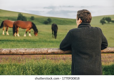 Country walk Back view photo with copy space Young man in a knitted cardigan is admiring landscape with horses, leaning his hands on a wooden fence