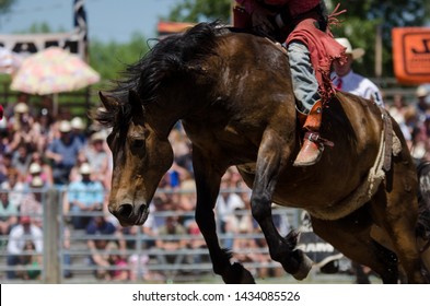 Country Western Saddle Bronc Jumping