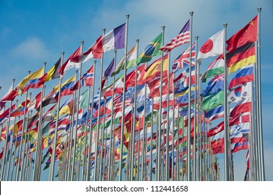 Country's Flag In The World