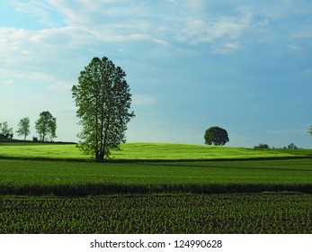 COUNTRYSIDE